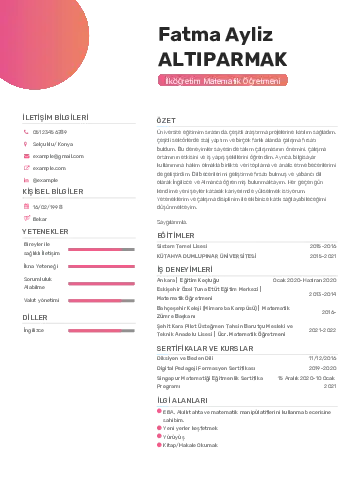 Matematik Öğretmeni Cv Örnekleri cv indir